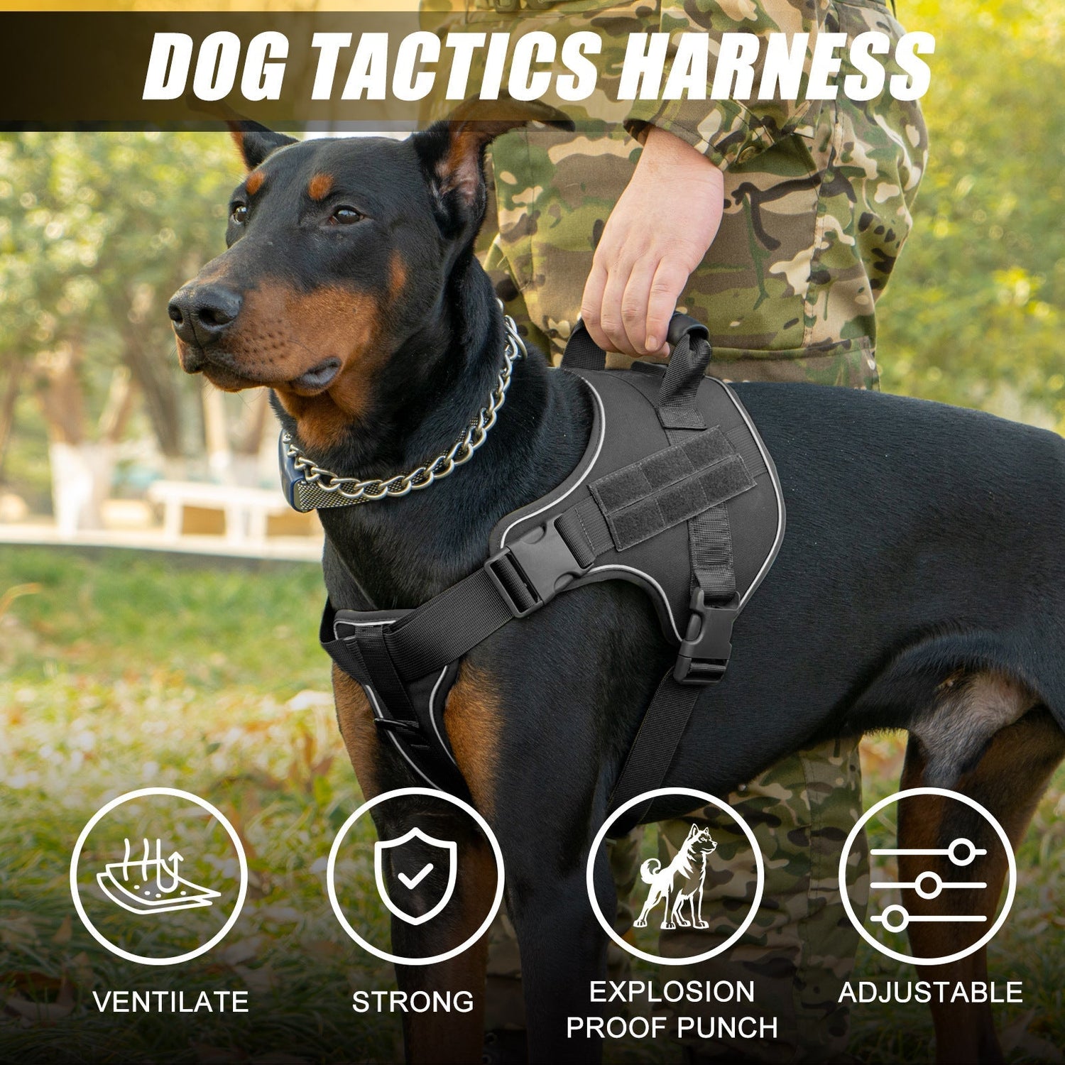 For Your Furry Friends