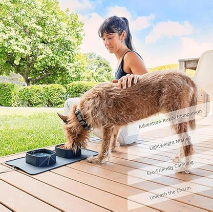 Portable Pet Feeder Silicone Bowls For Dog And Cat Travel Collapsible Dish For Food And Water