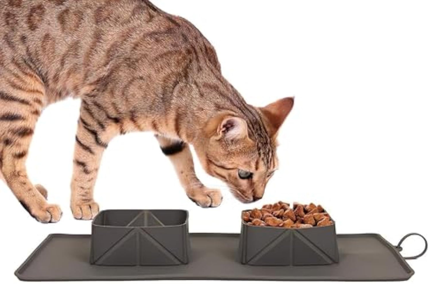 Portable Pet Feeder Silicone Bowls For Dog And Cat Travel Collapsible Dish For Food And Water